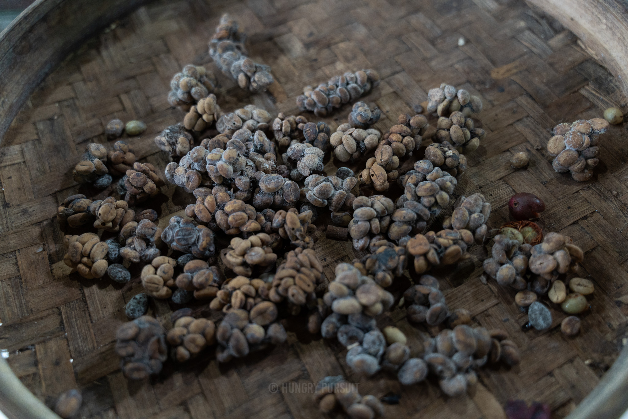Mount Batur Jeep Tour- Luwak Coffee Beans
