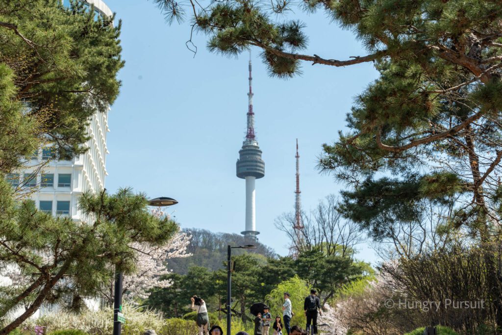 Seoul Nansam Tower 17