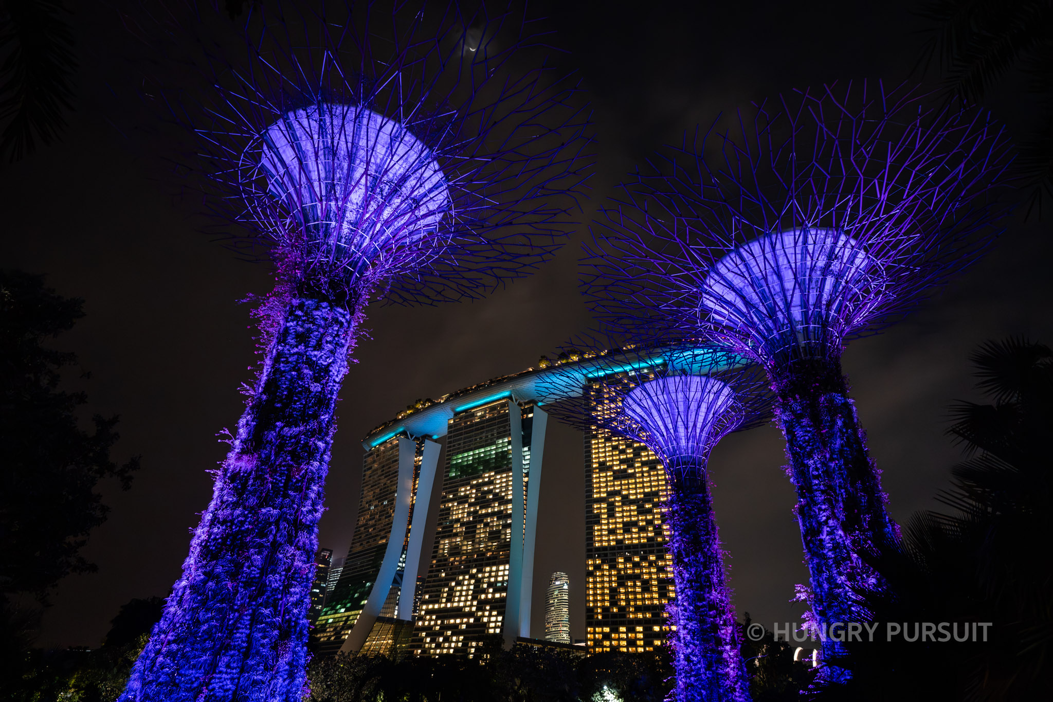 Supertree Grove Singapore at Night