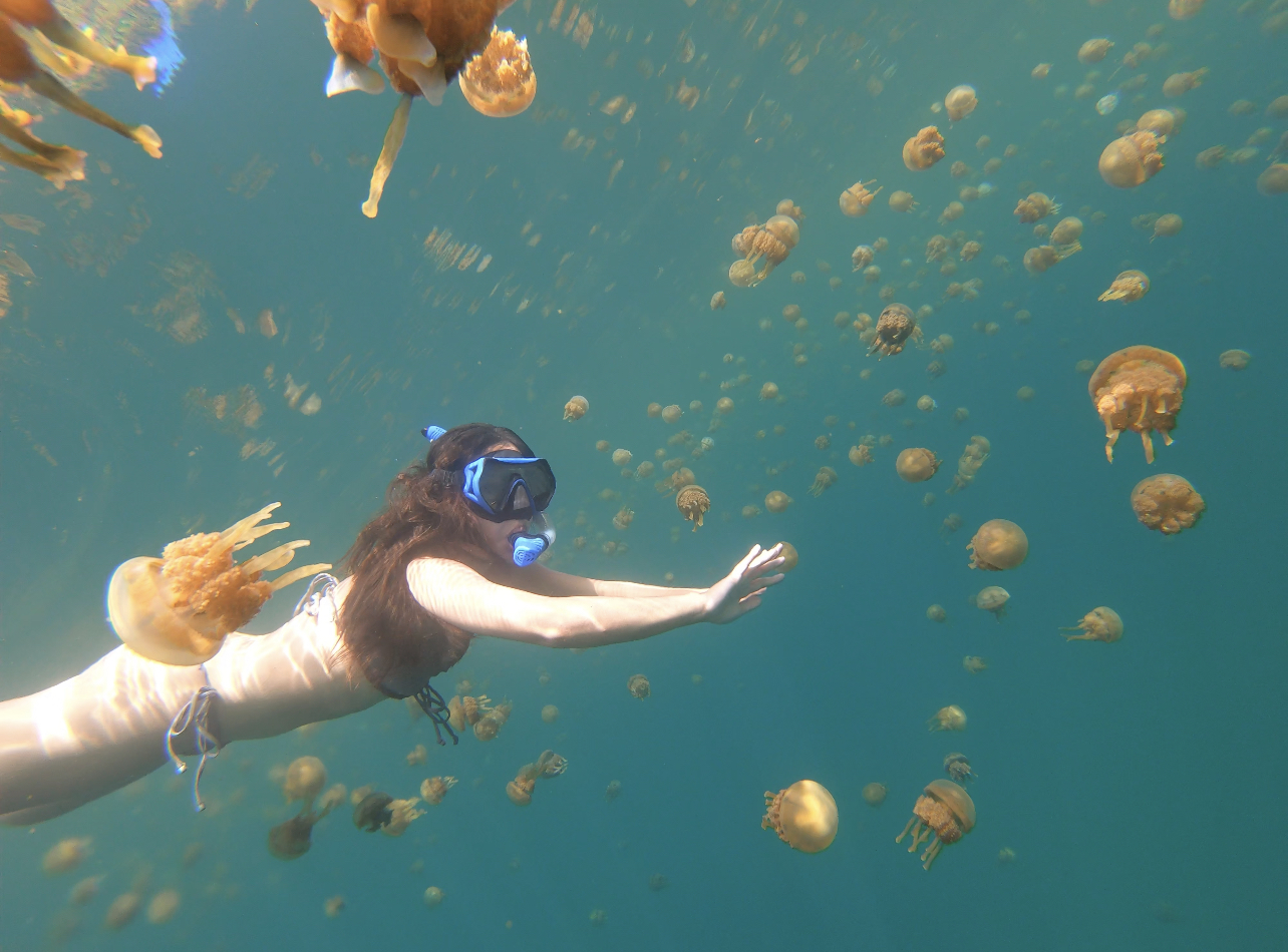 Siargao's Best Tours | Swimming with Stingless Jellyfish in Siargao