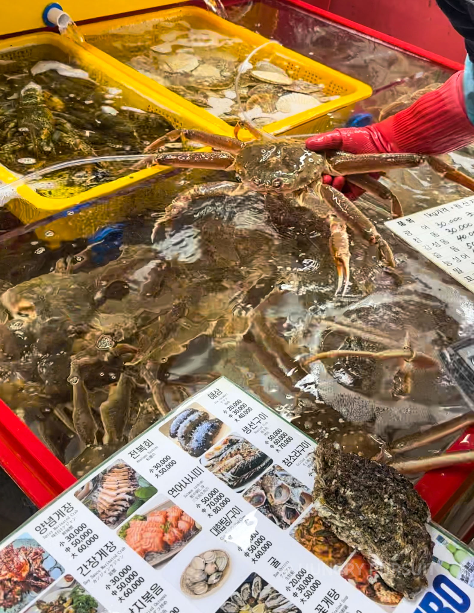 buckets of fresh seafood and menu inside jagalchi market