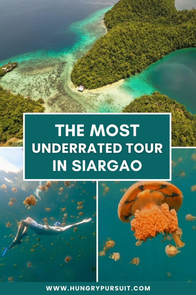 The most underrated tour Siargao Sohoton Tour Jellyfish