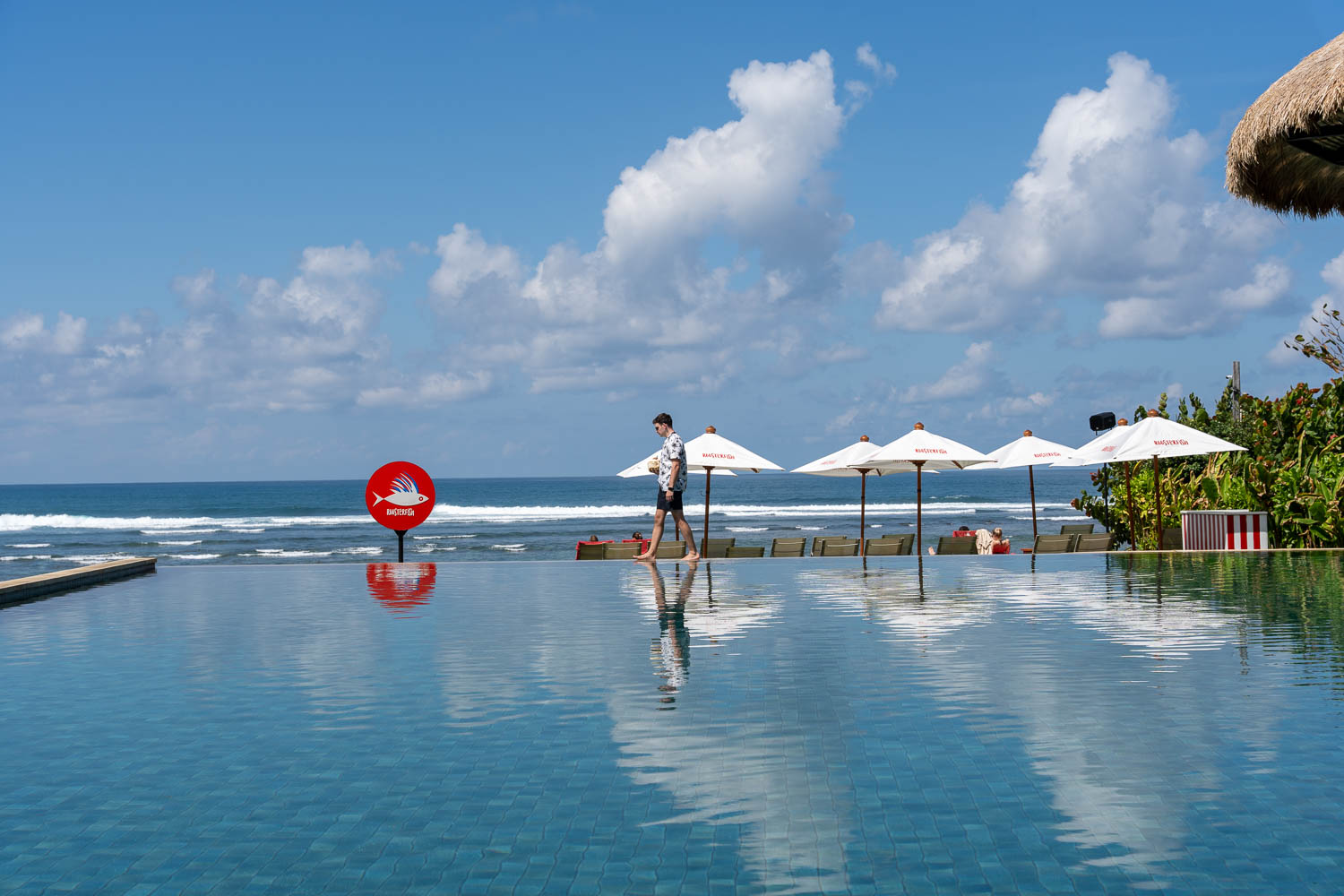 Panadawa Beach Roosterfish Collage Uluwatu Bali Infinity Pool