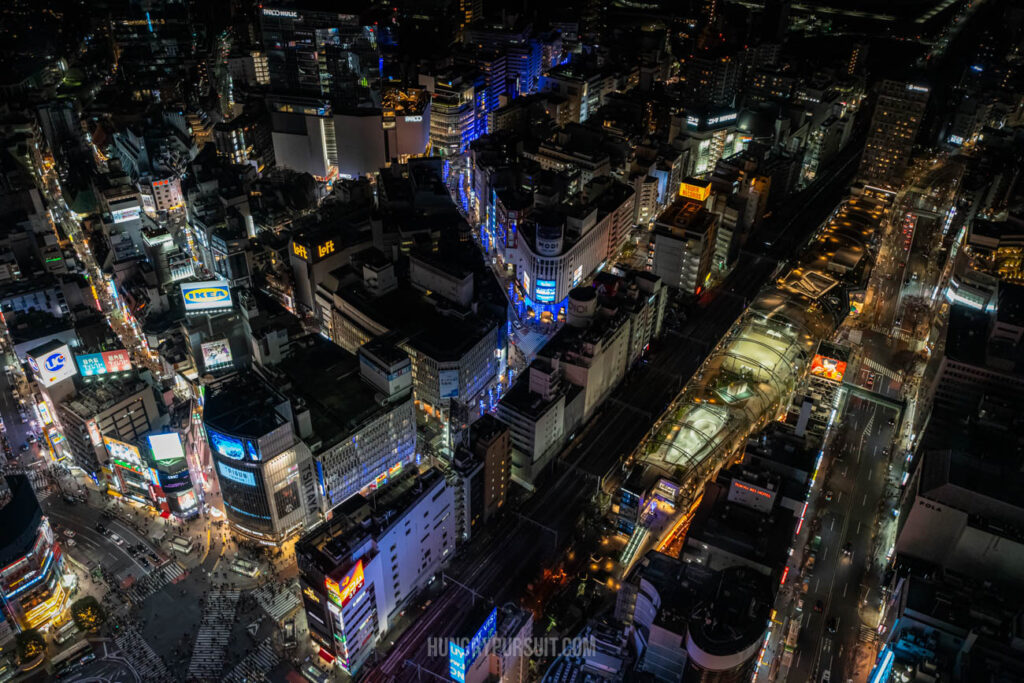 Shibuya sky view at night Architecture Buildings Best Photo Spots in Tokyo Japan