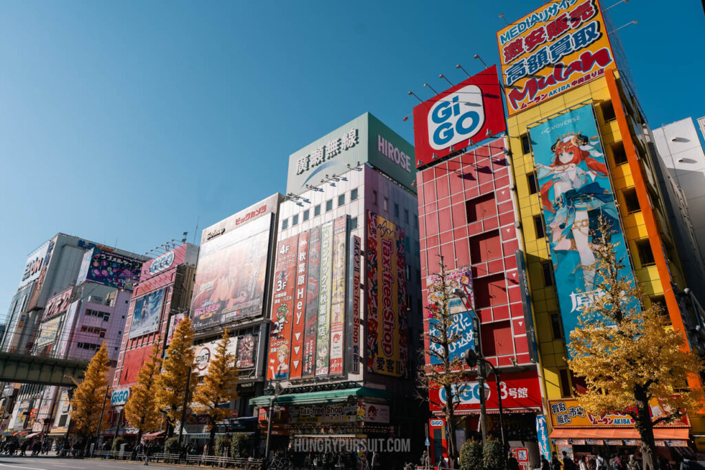 Ahkihabara Electric Architecture Buildings Best Photo Spots in Tokyo Japan