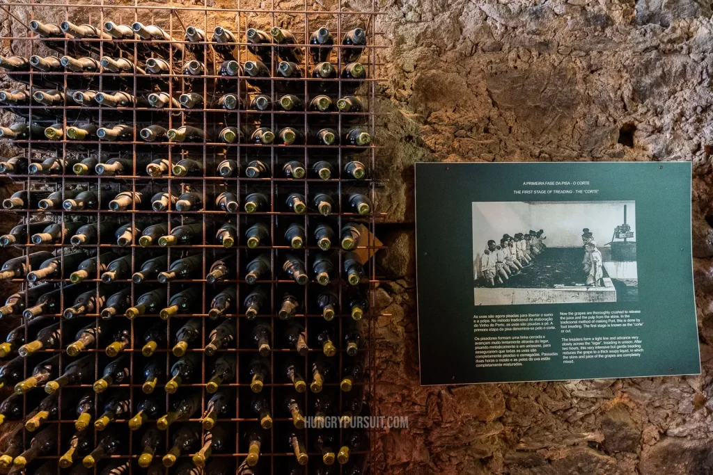 inside cellar on the best douro valley wine tour; douro valley wine tasting