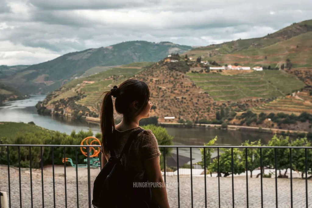 best duoro valley wine tour; douro valley wine tasting view