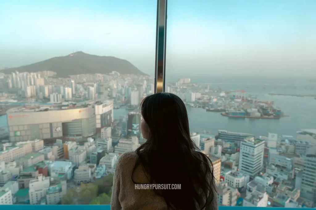 Views from Busan tower has panoramic city views girl looking out the window