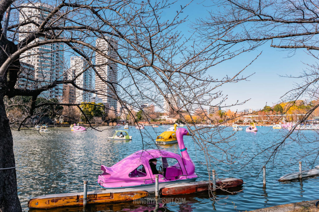 Buildings Best Photo Spots in Tokyo Japan Uneno Park Lake Boat