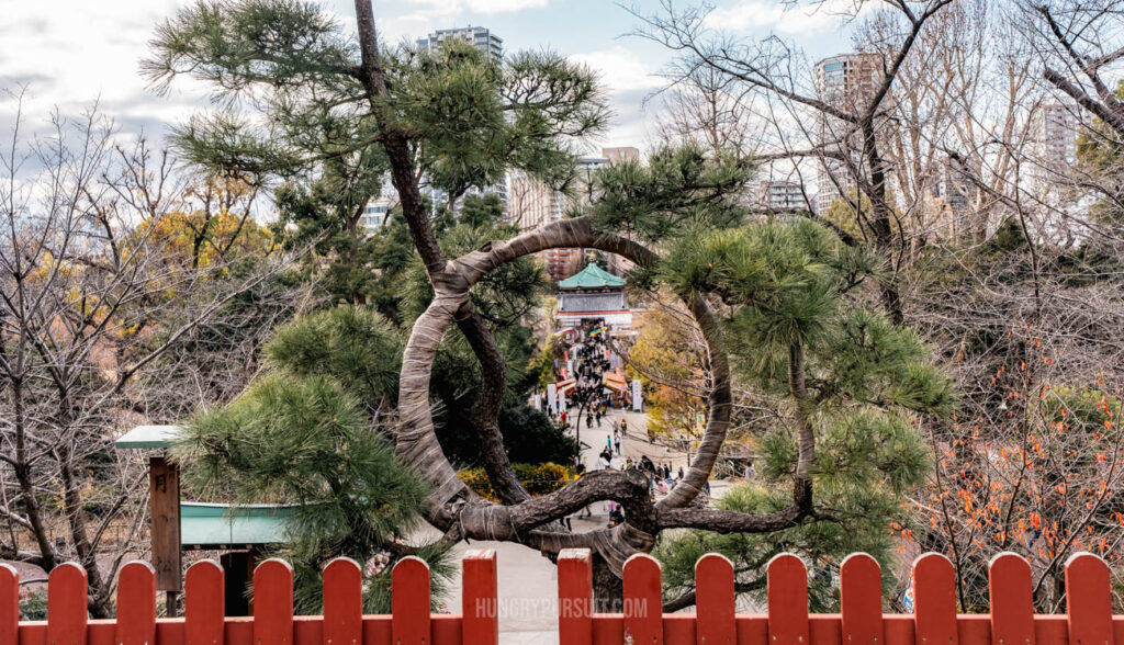 Uneno Park Best Photo Spots in Tokyo Japan