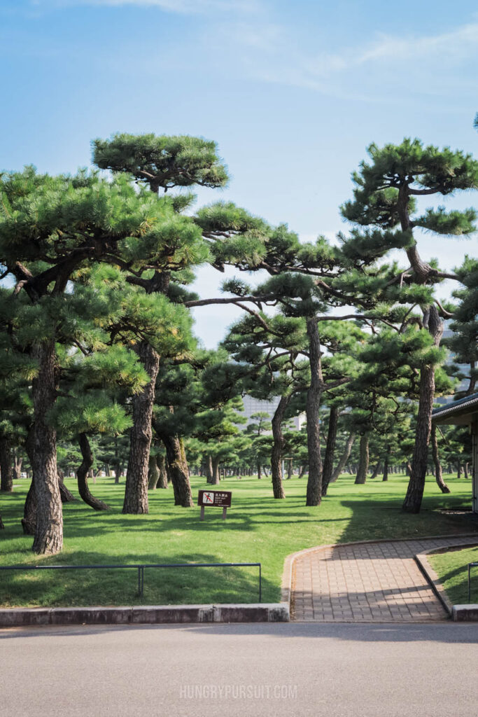 Greenery at East Gardens Imperial Parks Best Photo Spots in Tokyo Japan