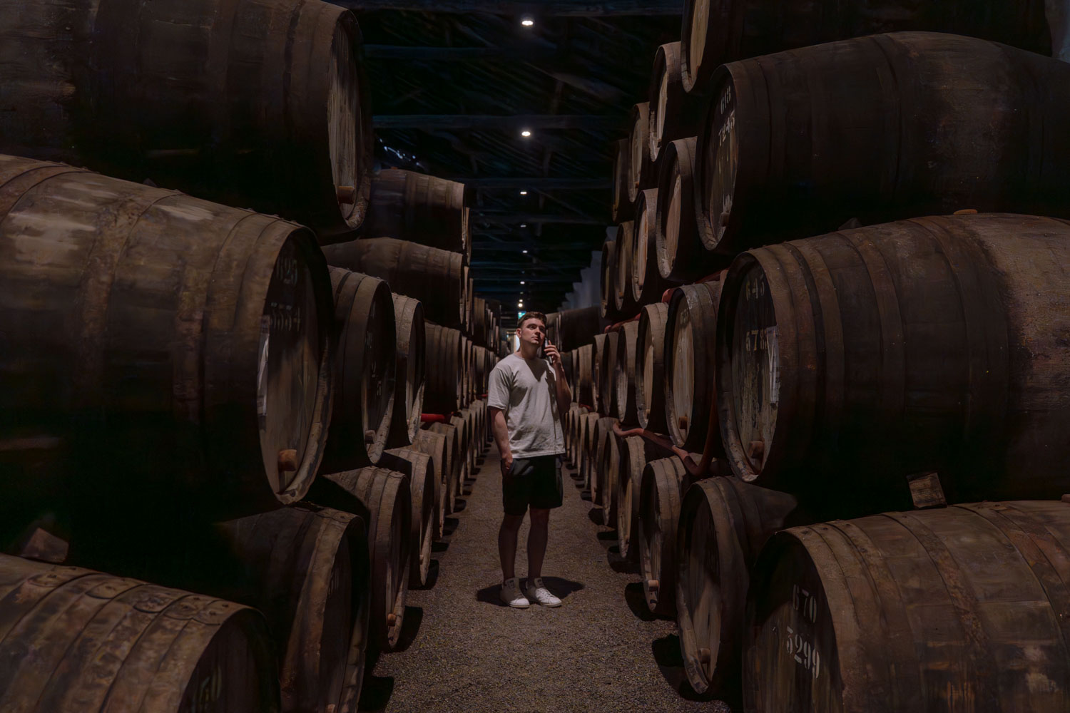 a man listening to ab audio guide surrounded by wine barrels at Taylors Port Wine cellar; 2 days in porto itinerary